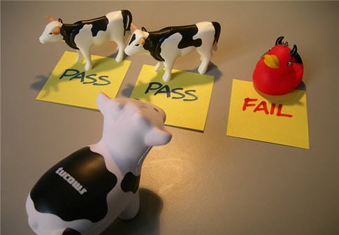 functional performance testing 1