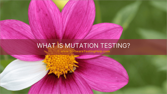 What Is Mutation Testing
