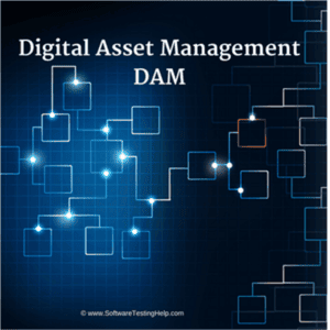 The 15 Best Digital Asset Management Software in 2025