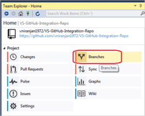 How To Use GitHub Extension For Microsoft Visual Studio?