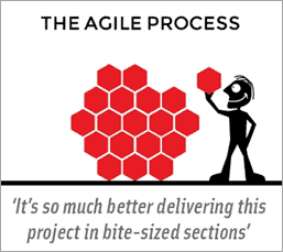 Agile process