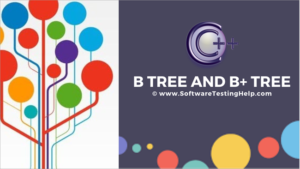B Tree And B+ Tree Data Structure In C++