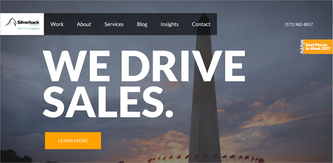 Silverback Strategies