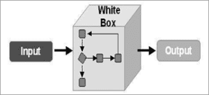 Unit Testing in Software Testing