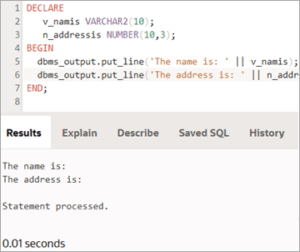 PL SQL Data Types, Variables, Constants And Literals image.