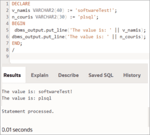 PL SQL Data Types, Variables, Constants And Literals