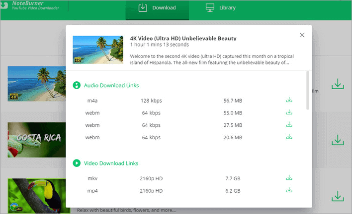 Any Video Converter - Download video