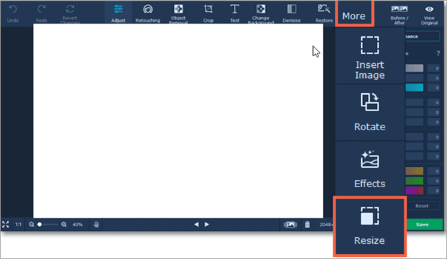 Select Resize at the right-hand side panel