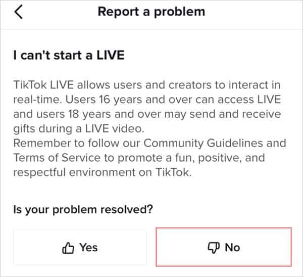 TikTok_Report_a_Problem_-_Kapwing.PNG--2-