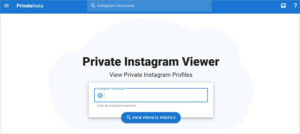 13 Best Private Instagram Viewer to View Account & Profile