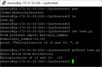 Create Generic, Python and Docker Package Repositories with JFrog ...
