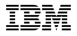 IBM logo