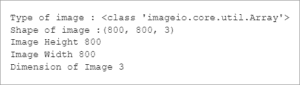 Image Processing Using Python: Algorithms & Tools Tutorial