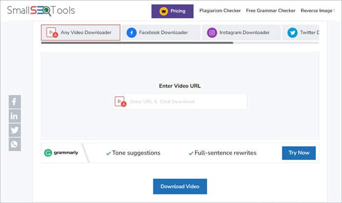 Small SEO tools Video Downloader