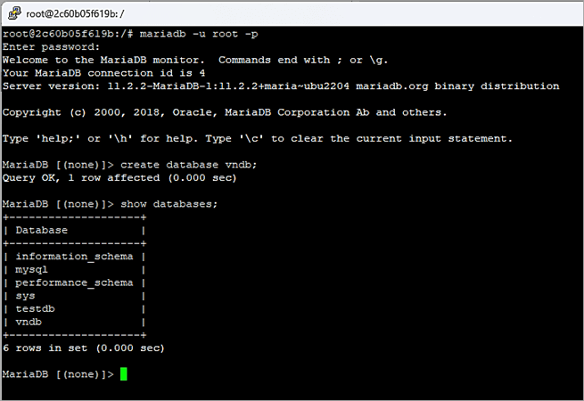 Create a database inside the container