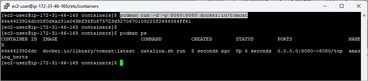 Running images – Example 1