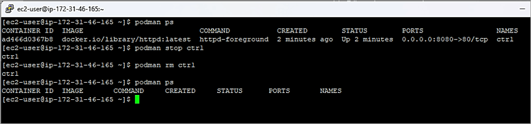 Stop and Remove Container 1