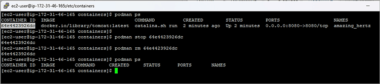 Stop and remove containers