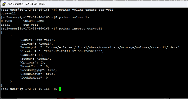Volume Mount Example (Named Volume)