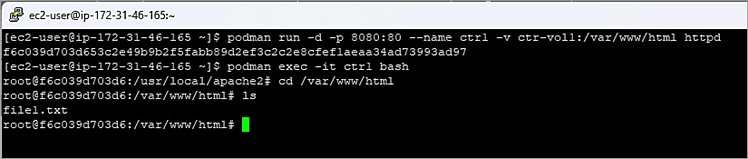 Volume Mount Example (Named Volume)