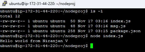use the node project