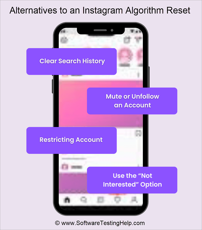 Alternatives to an Instagram Algorithm Reset