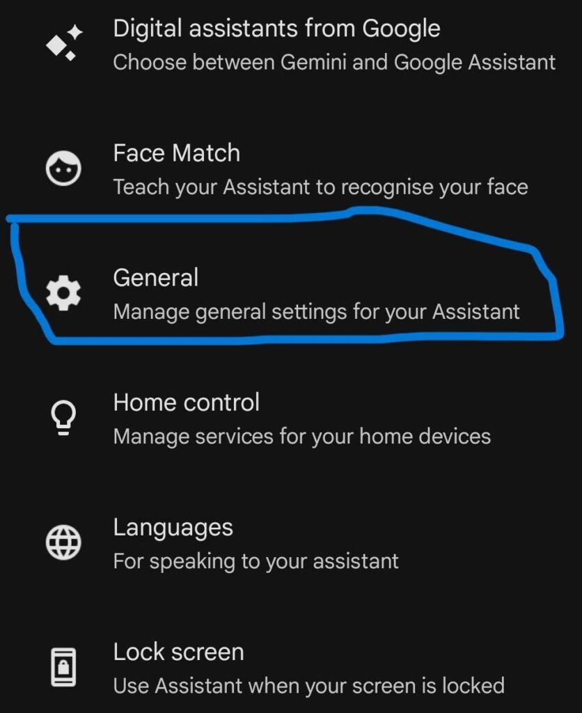 Google Assistant General settings