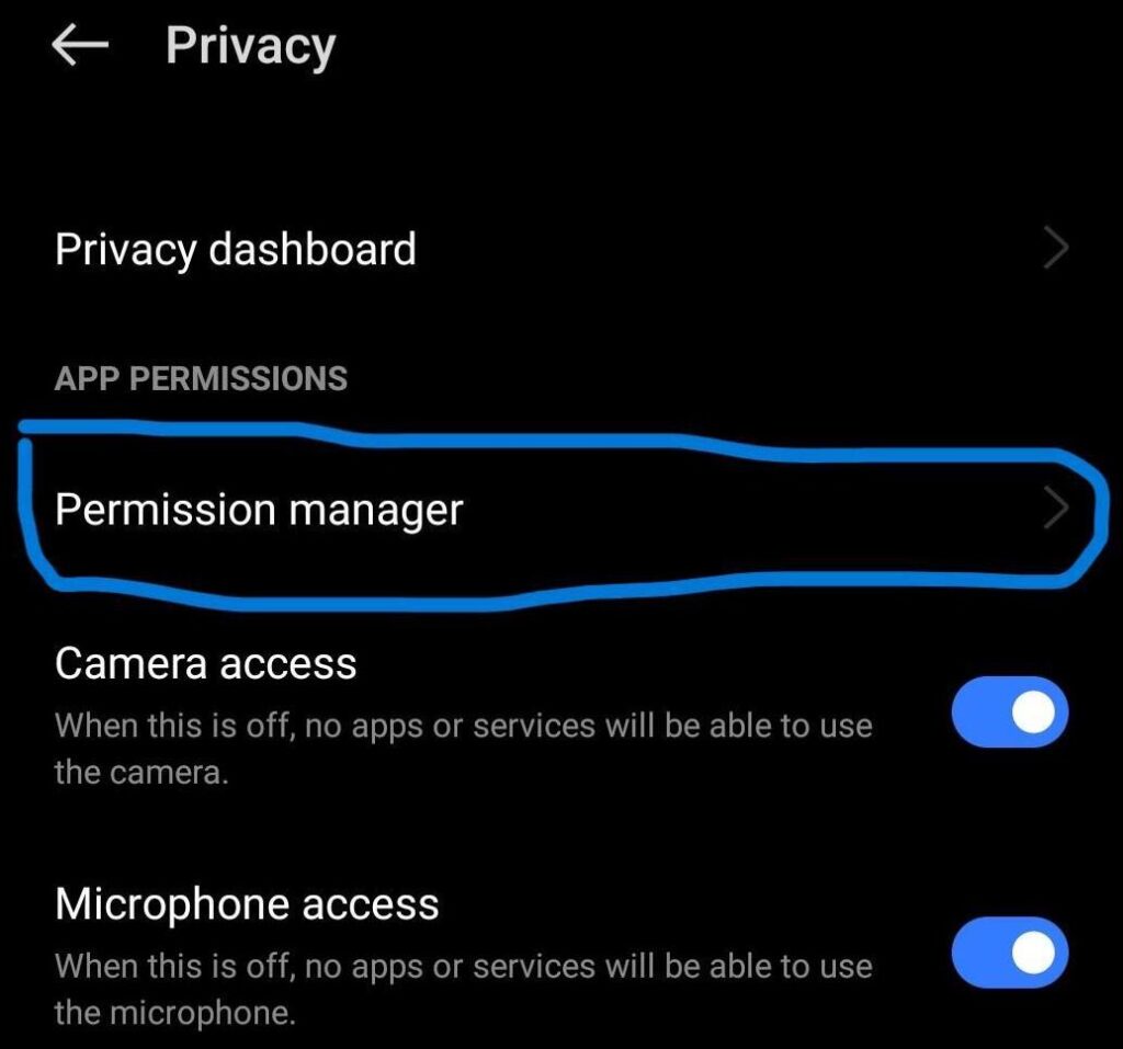 Android Permission Manager Microphone