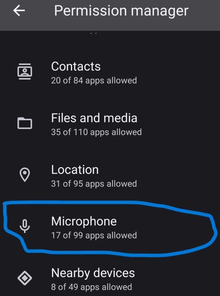 Android Permission Manager Microphone1