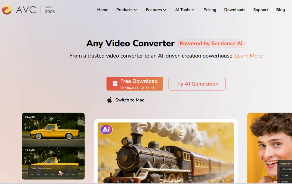 Any Video Converter