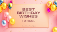 Best Birthday Wishes for Boss