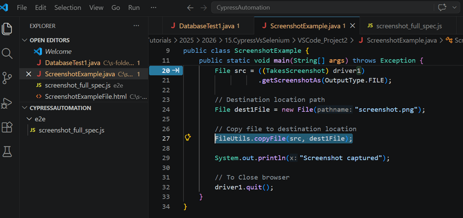 Capture Screenshot Ex In Selenium Continued