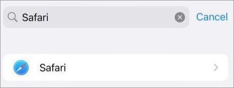 Clear Browsing Data on safari