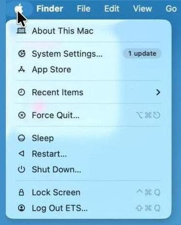 Apple icon