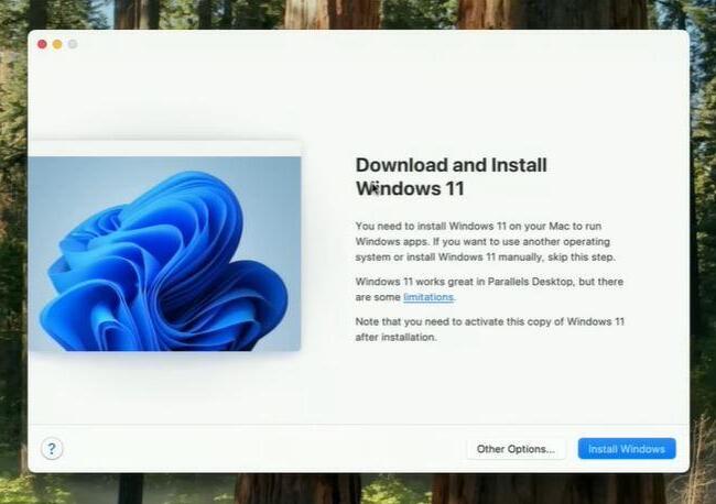 Download Windows 11