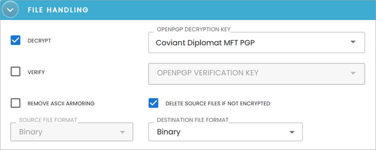 Encryption Enforcement