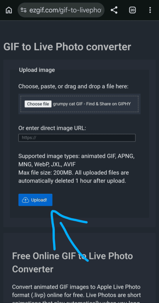 Ezgif - upload the GIF