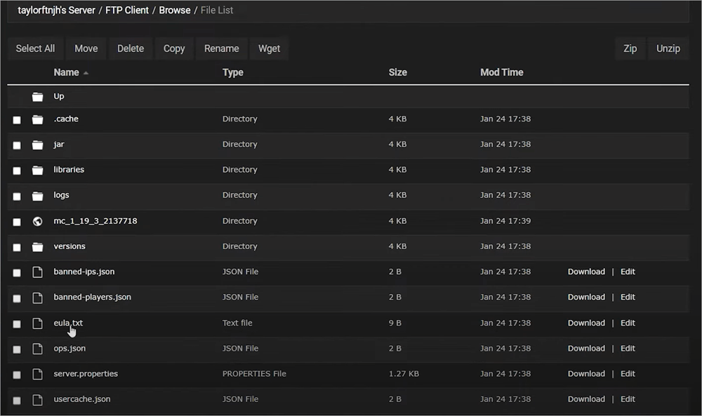 FTP software to your Minecraft server