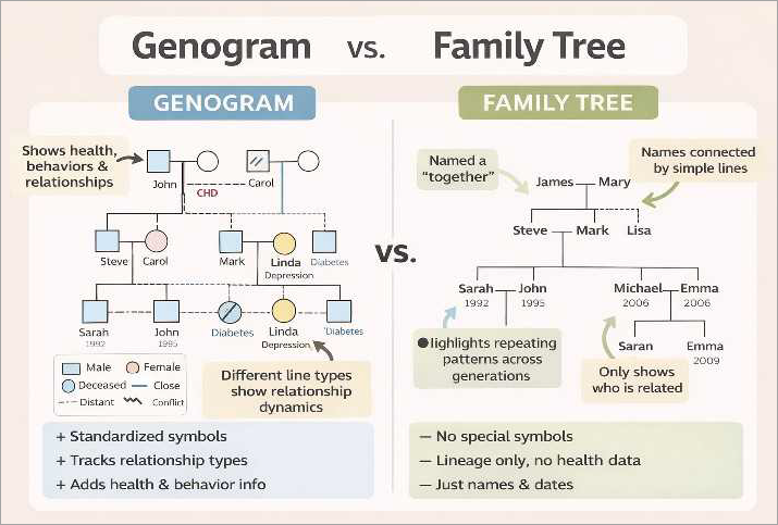 Genogram vs Family tree