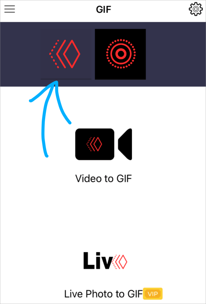 Gifive Live Photo format