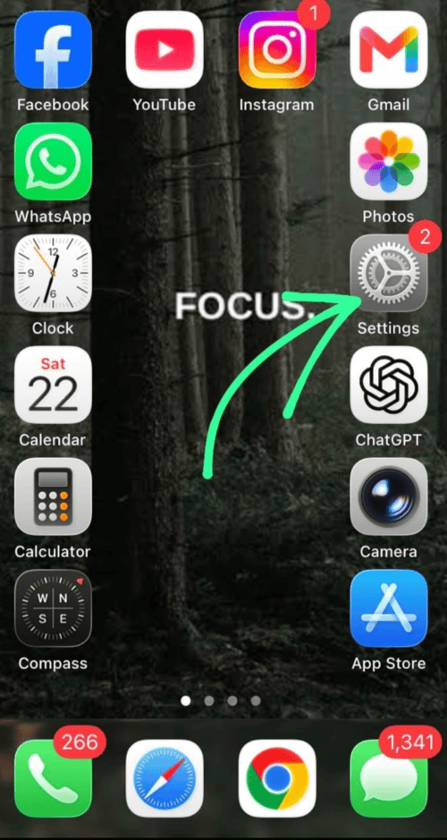 Go to Settings