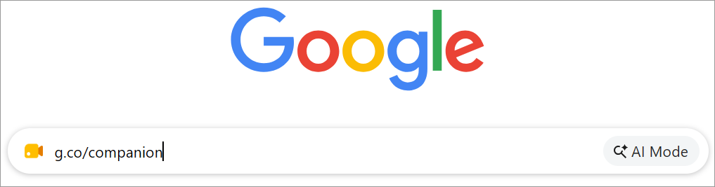 Google Meet- Search Google Companion