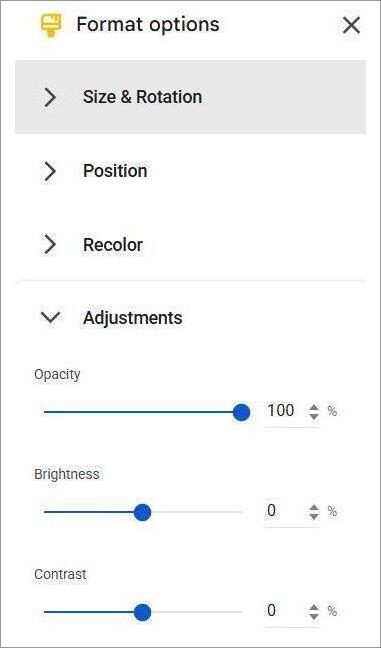 Google slide image Format Options