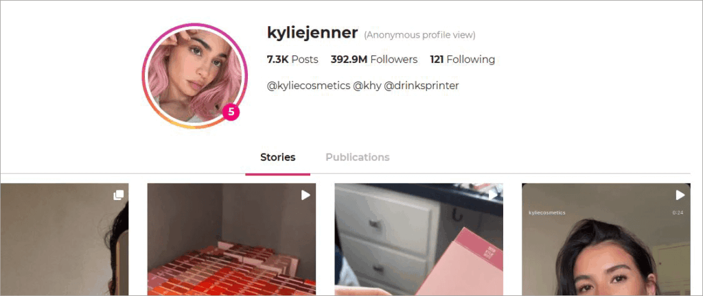 How to Use the Above Solutions to View Instagram Posts and Stories