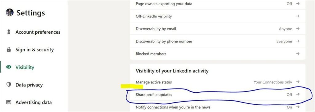 LinkedIn Visibility Option