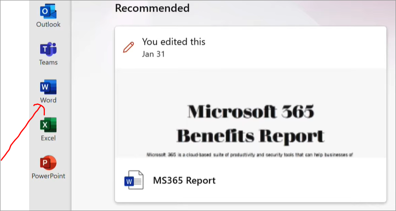 MS Word Option