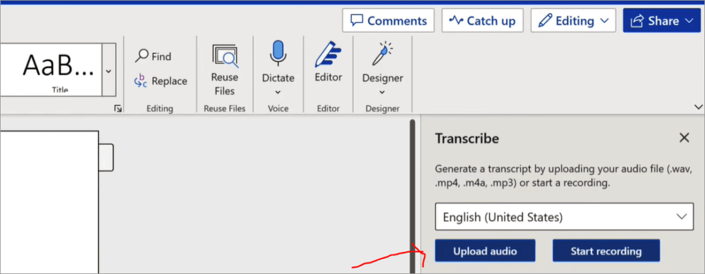 Transcribe pane