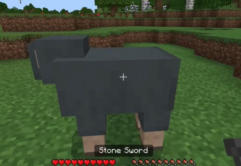 Minecraft Hunt for Food
