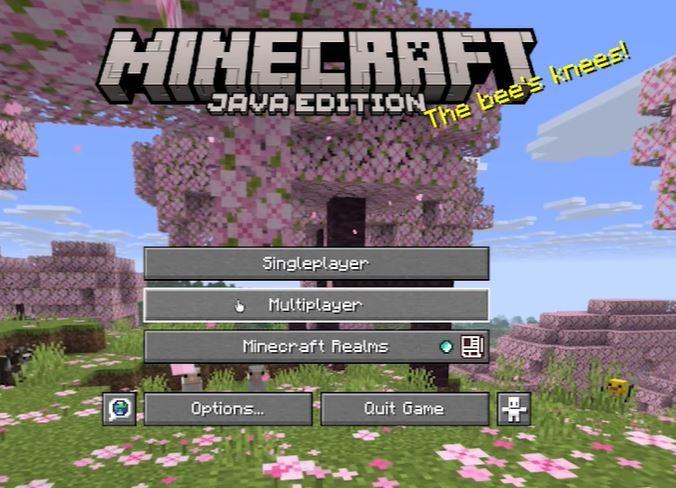 Minecraft Java edition