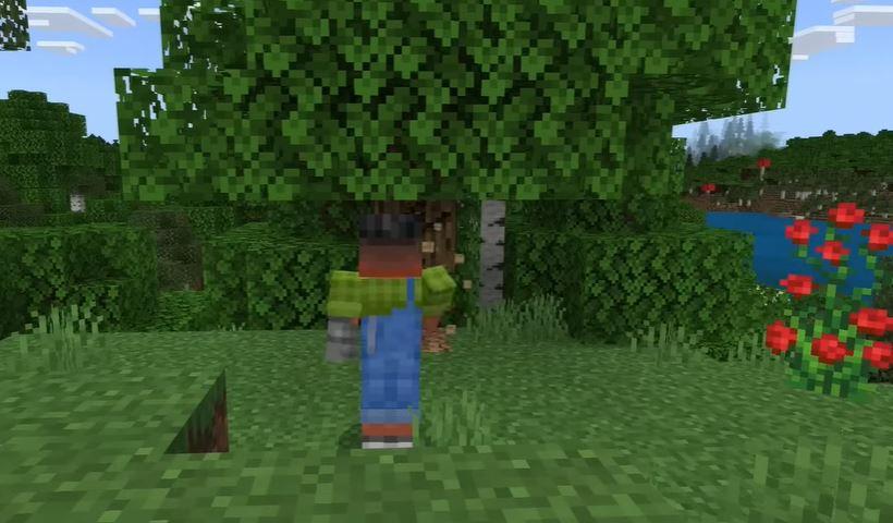 Minecraft Run Basic Errands